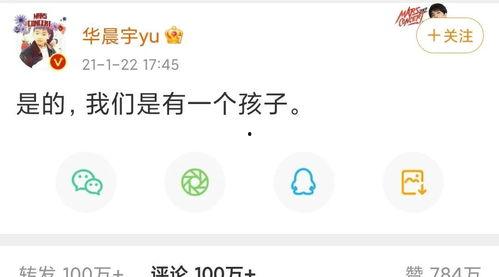 吃瓜娱乐圈文字版小说,瓜田里的秘密风云